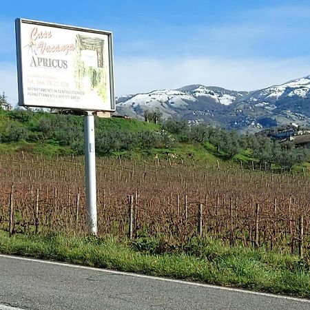La Loggetta Di Apricus Villa Olevano Romano Eksteriør billede