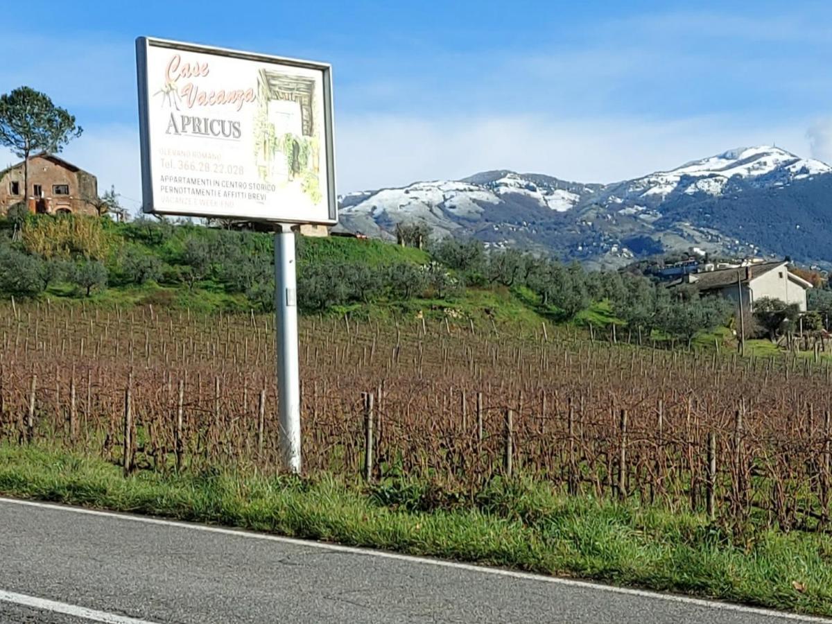 La Loggetta Di Apricus Villa Olevano Romano Eksteriør billede